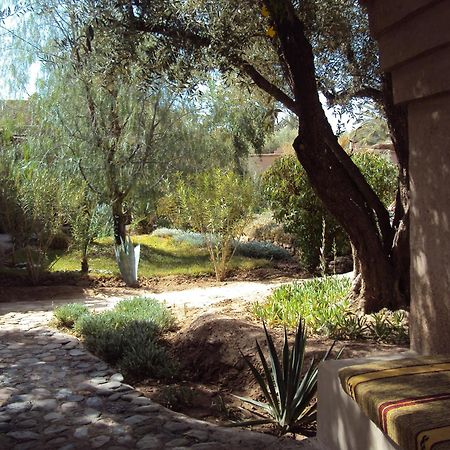 Bed and Breakfast Dar Lorkam Skoura Esterno foto