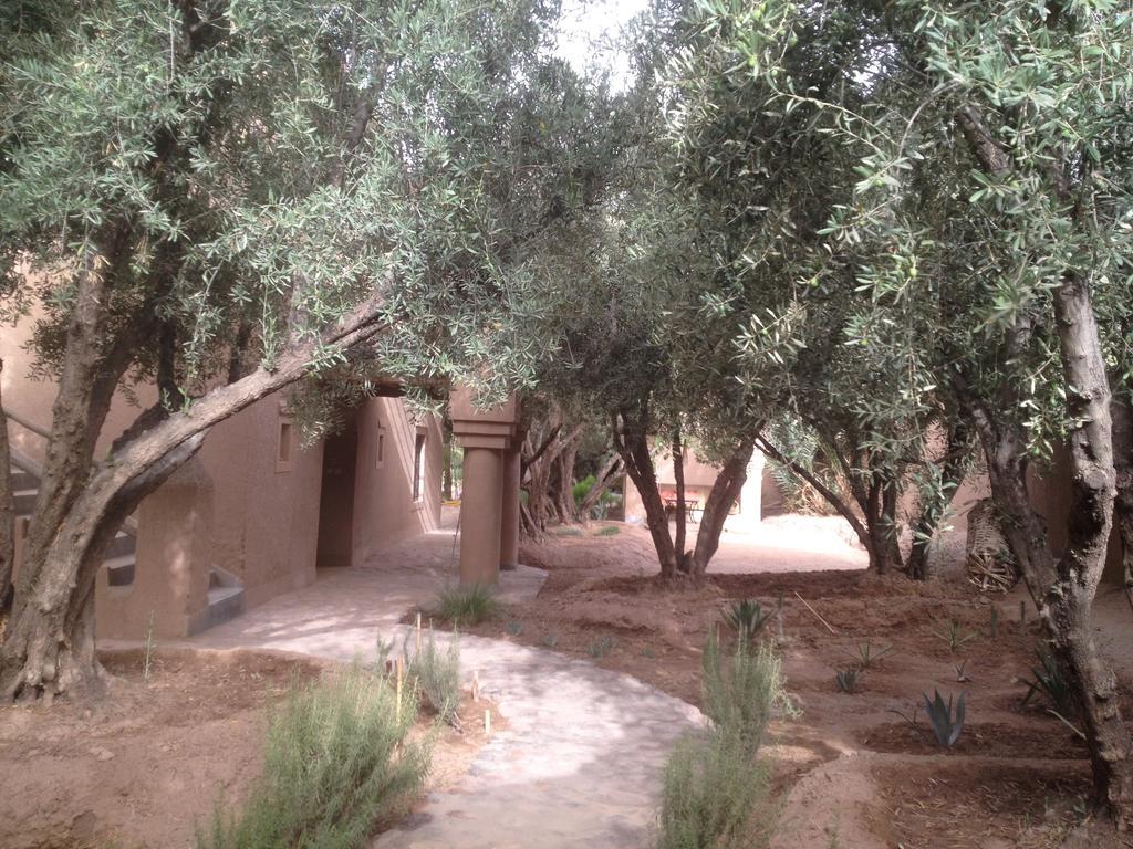 Bed and Breakfast Dar Lorkam Skoura Esterno foto