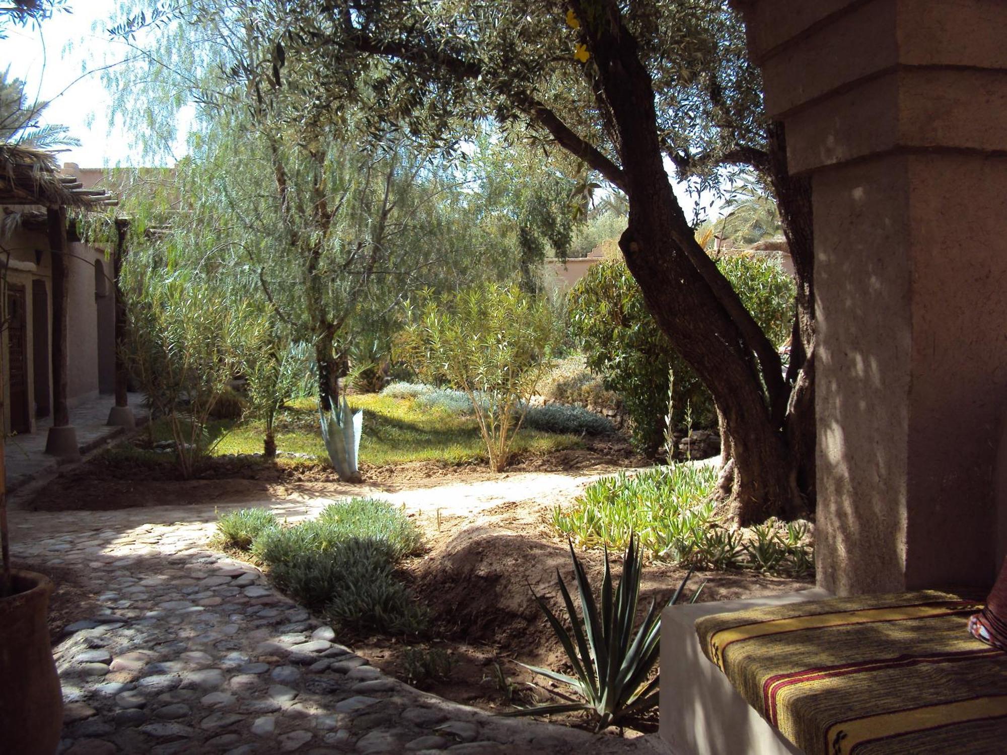 Bed and Breakfast Dar Lorkam Skoura Esterno foto