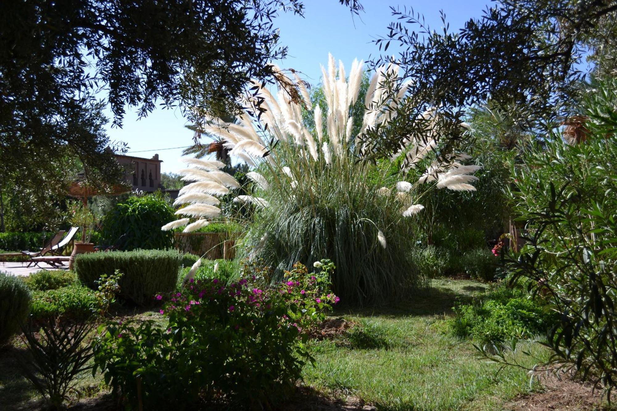 Bed and Breakfast Dar Lorkam Skoura Esterno foto