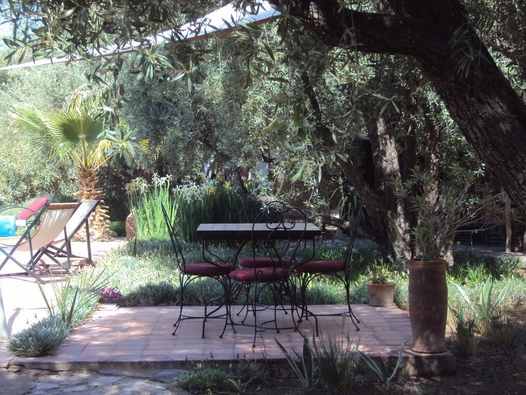 Bed and Breakfast Dar Lorkam Skoura Esterno foto