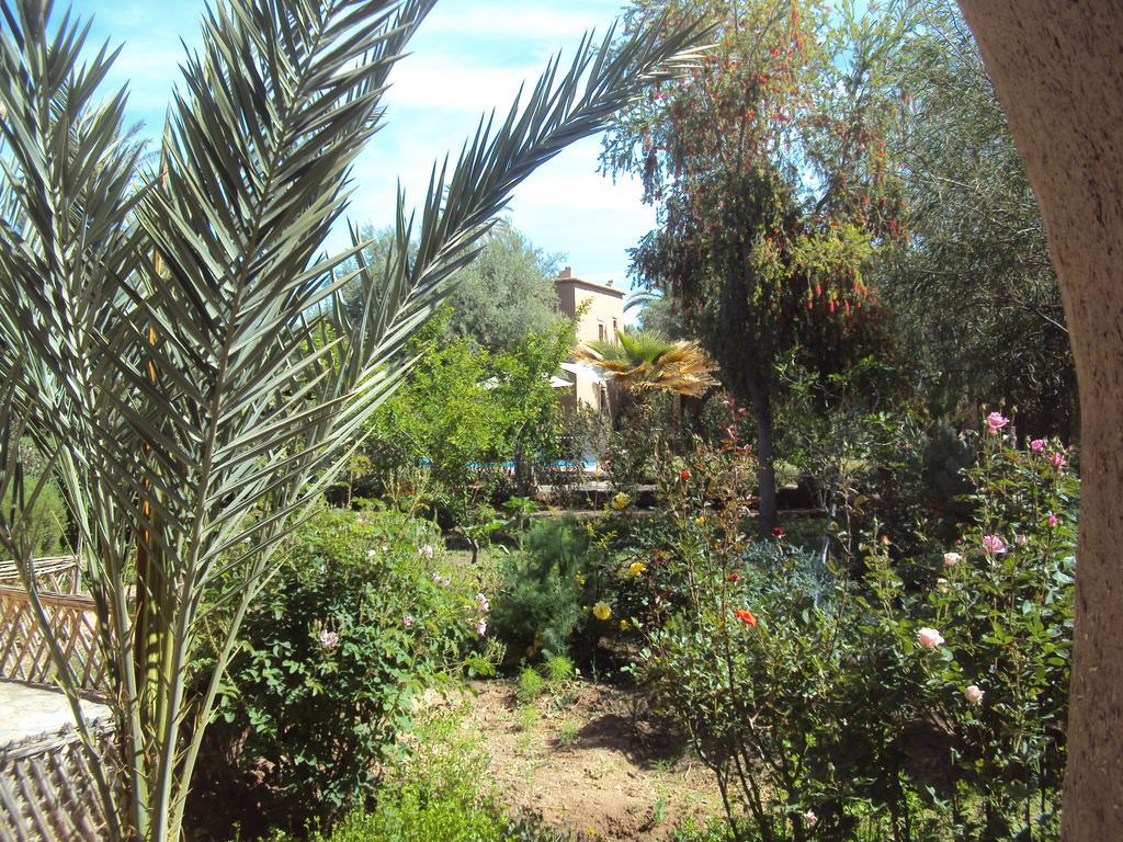 Bed and Breakfast Dar Lorkam Skoura Esterno foto