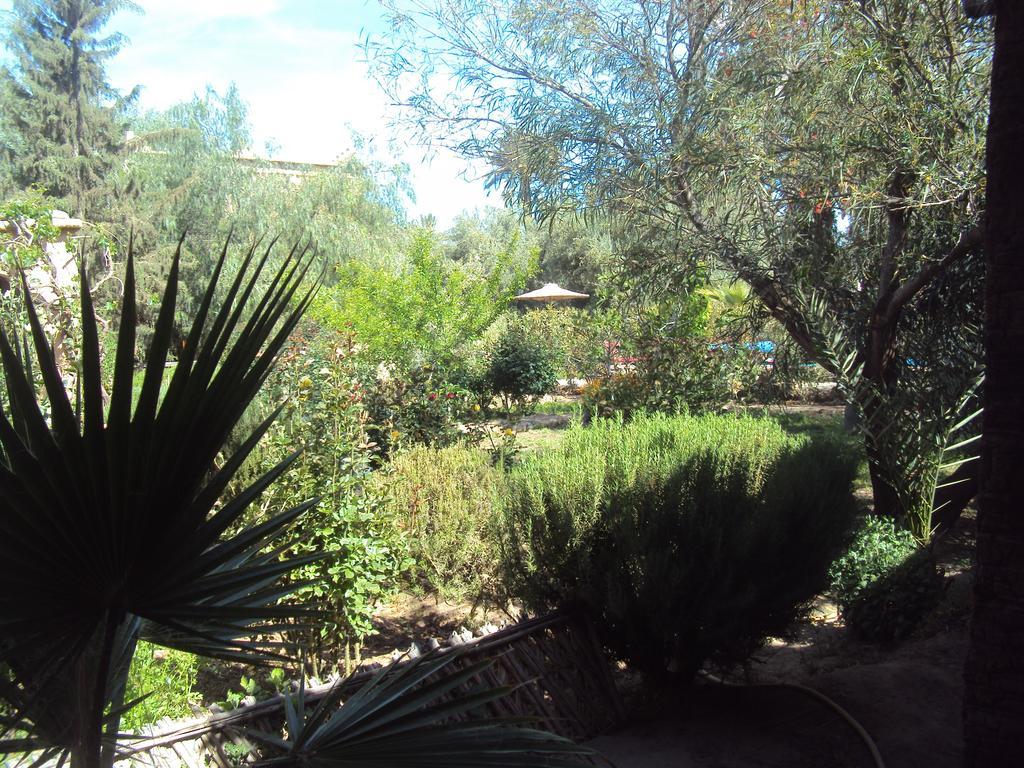 Bed and Breakfast Dar Lorkam Skoura Esterno foto