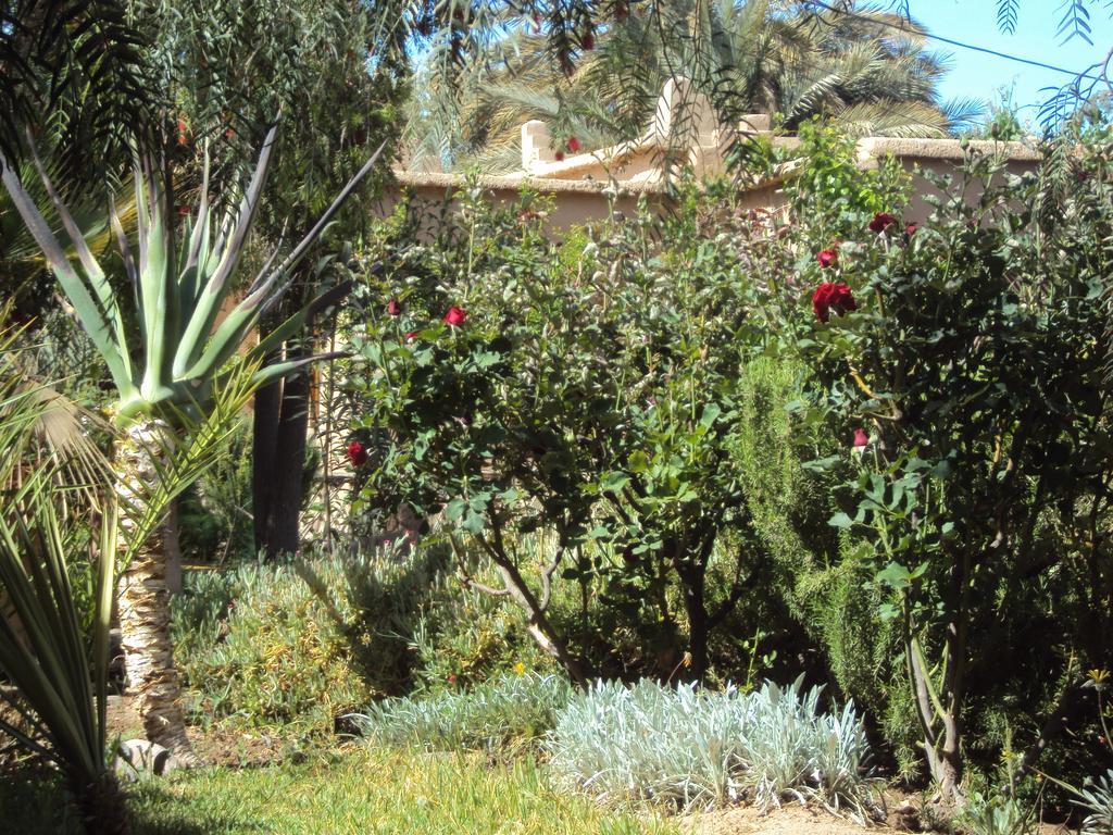 Bed and Breakfast Dar Lorkam Skoura Esterno foto