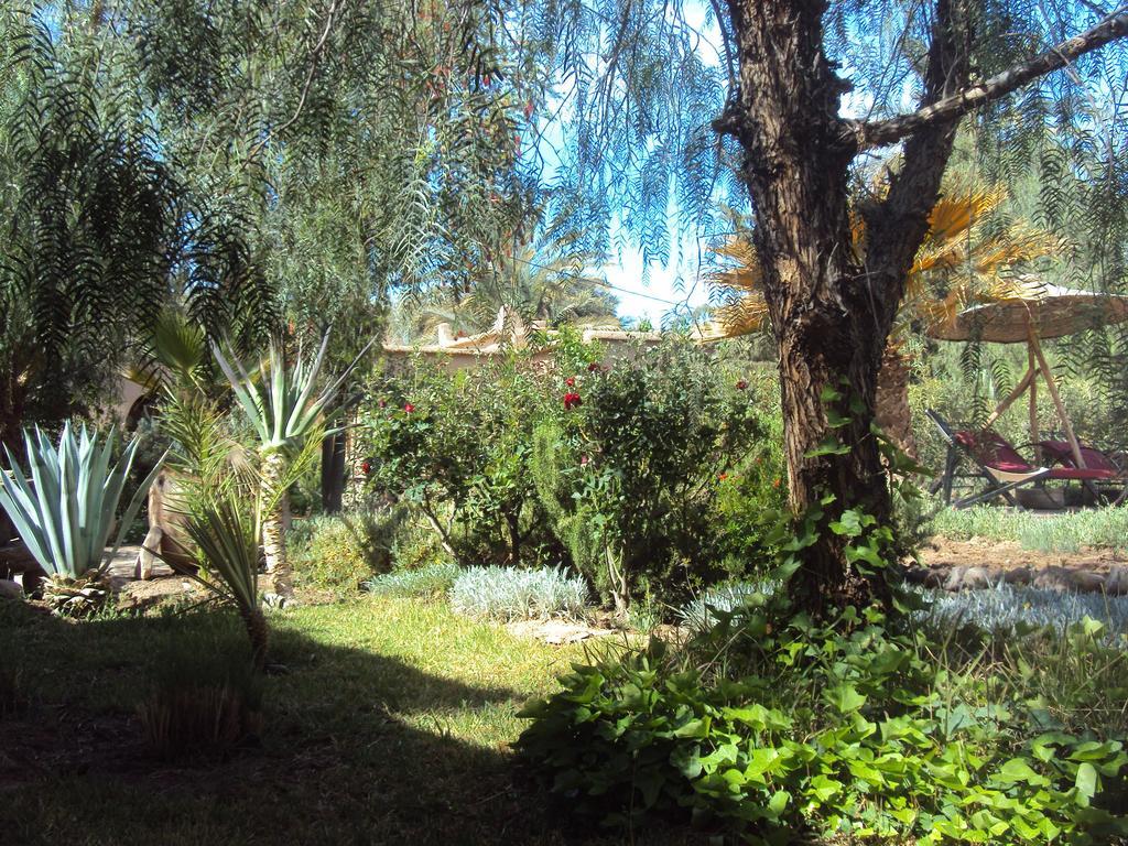 Bed and Breakfast Dar Lorkam Skoura Esterno foto