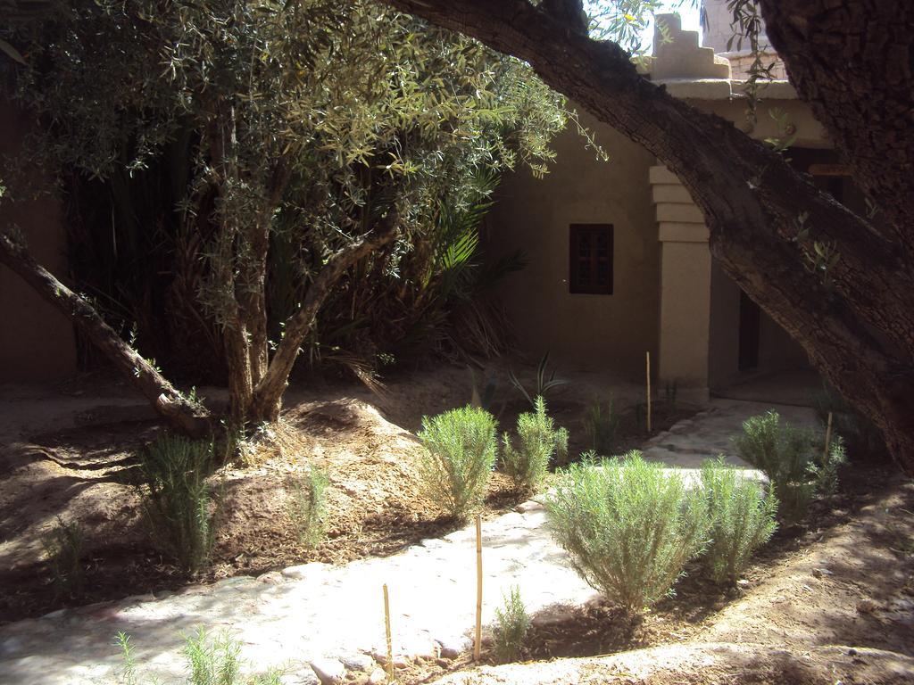 Bed and Breakfast Dar Lorkam Skoura Esterno foto