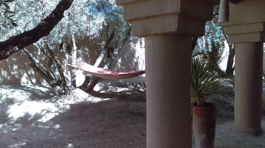 Bed and Breakfast Dar Lorkam Skoura Esterno foto