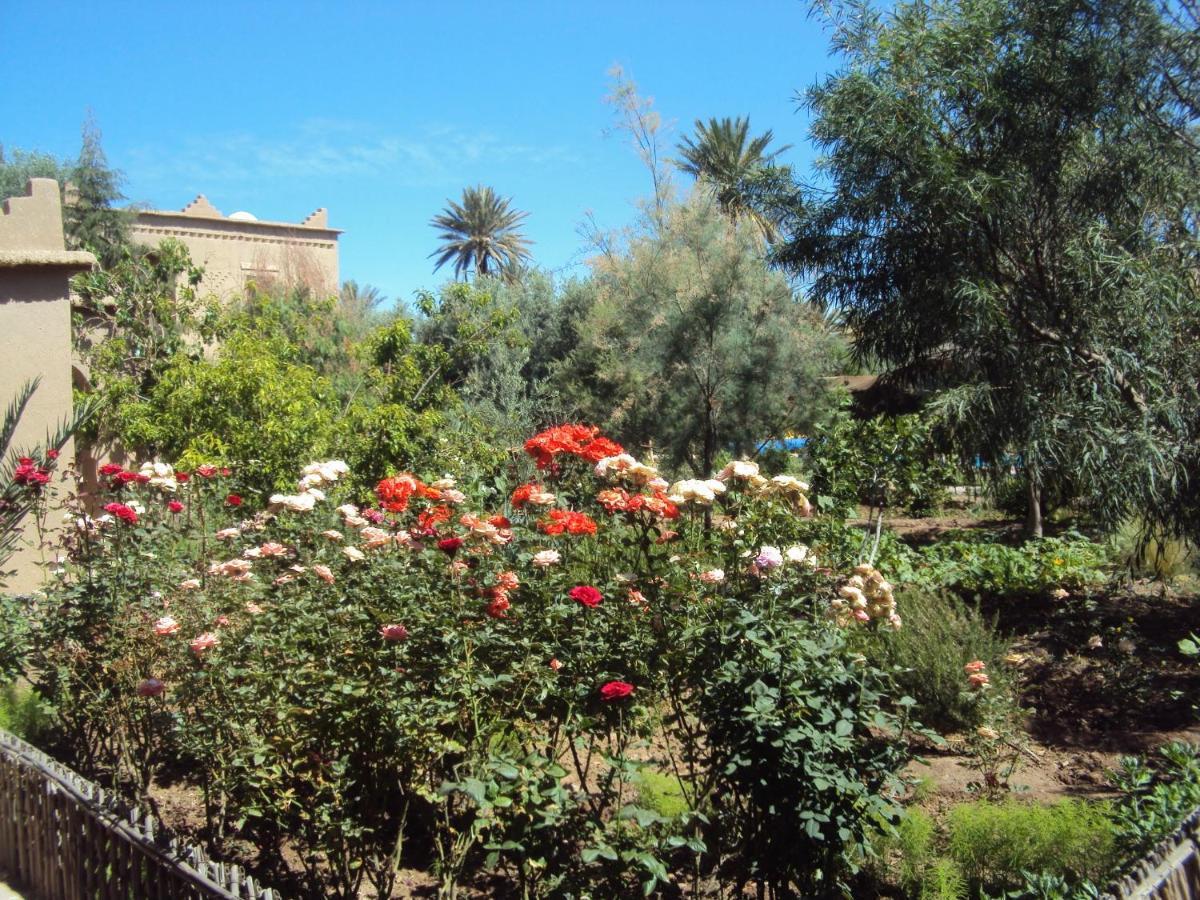 Bed and Breakfast Dar Lorkam Skoura Esterno foto