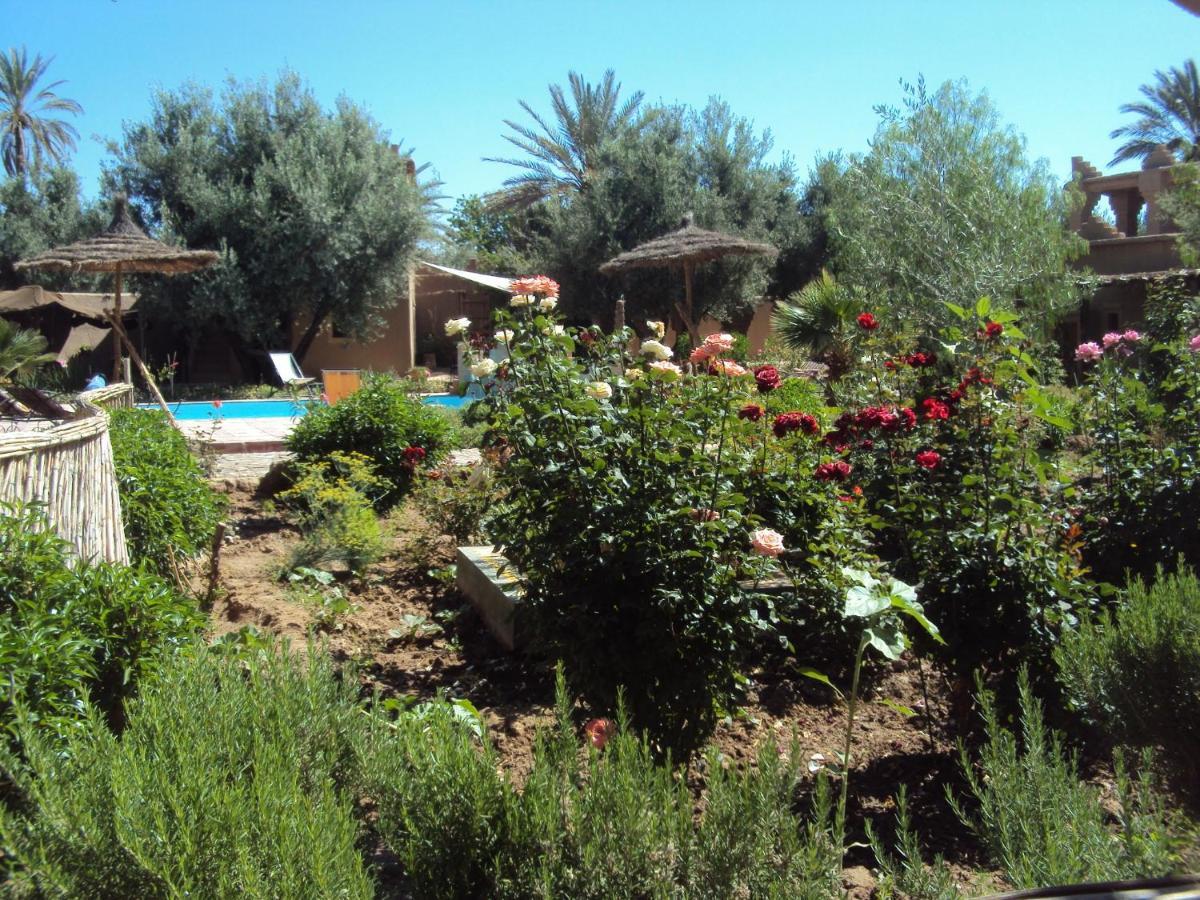 Bed and Breakfast Dar Lorkam Skoura Esterno foto